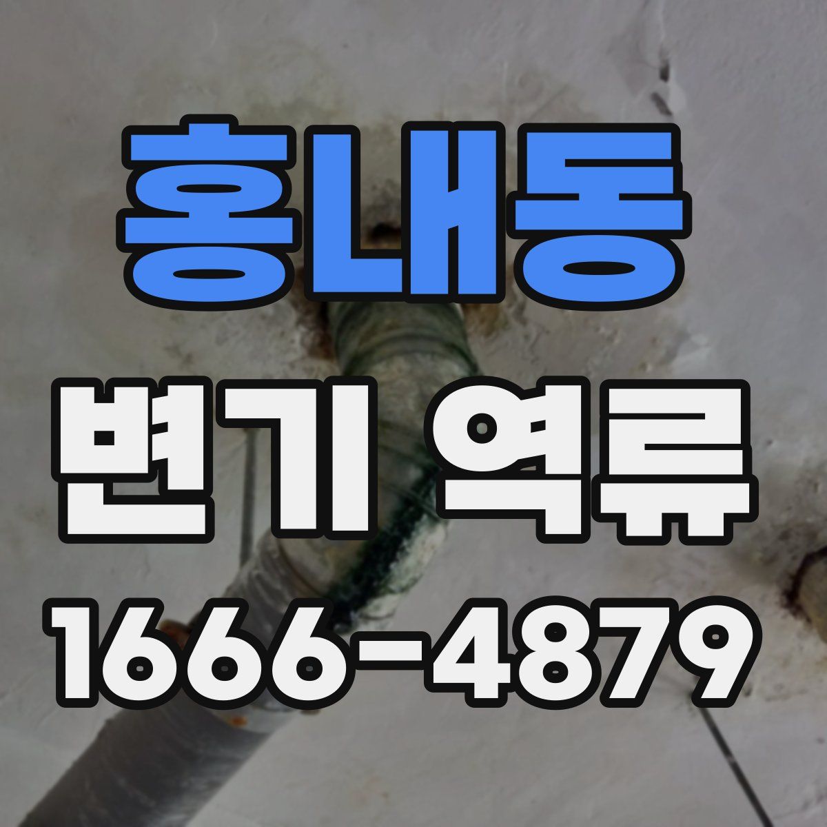 홍내동 변기 역류