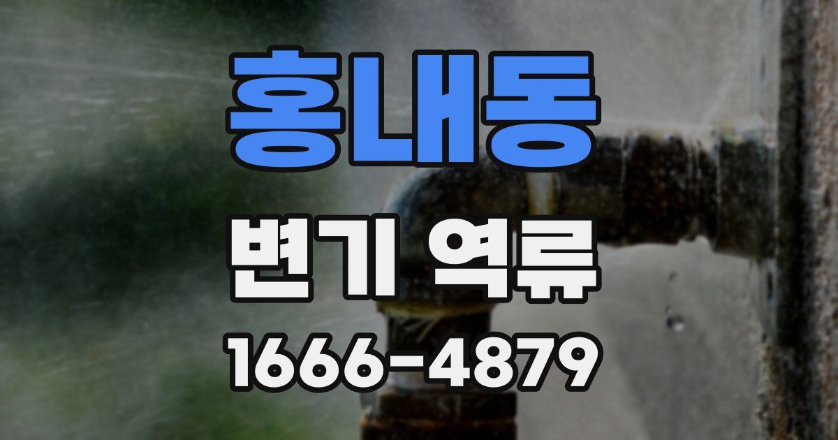 홍내동 변기 역류