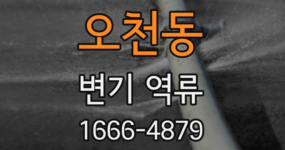 오천동 변기 역류