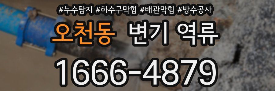 오천동 변기 역류