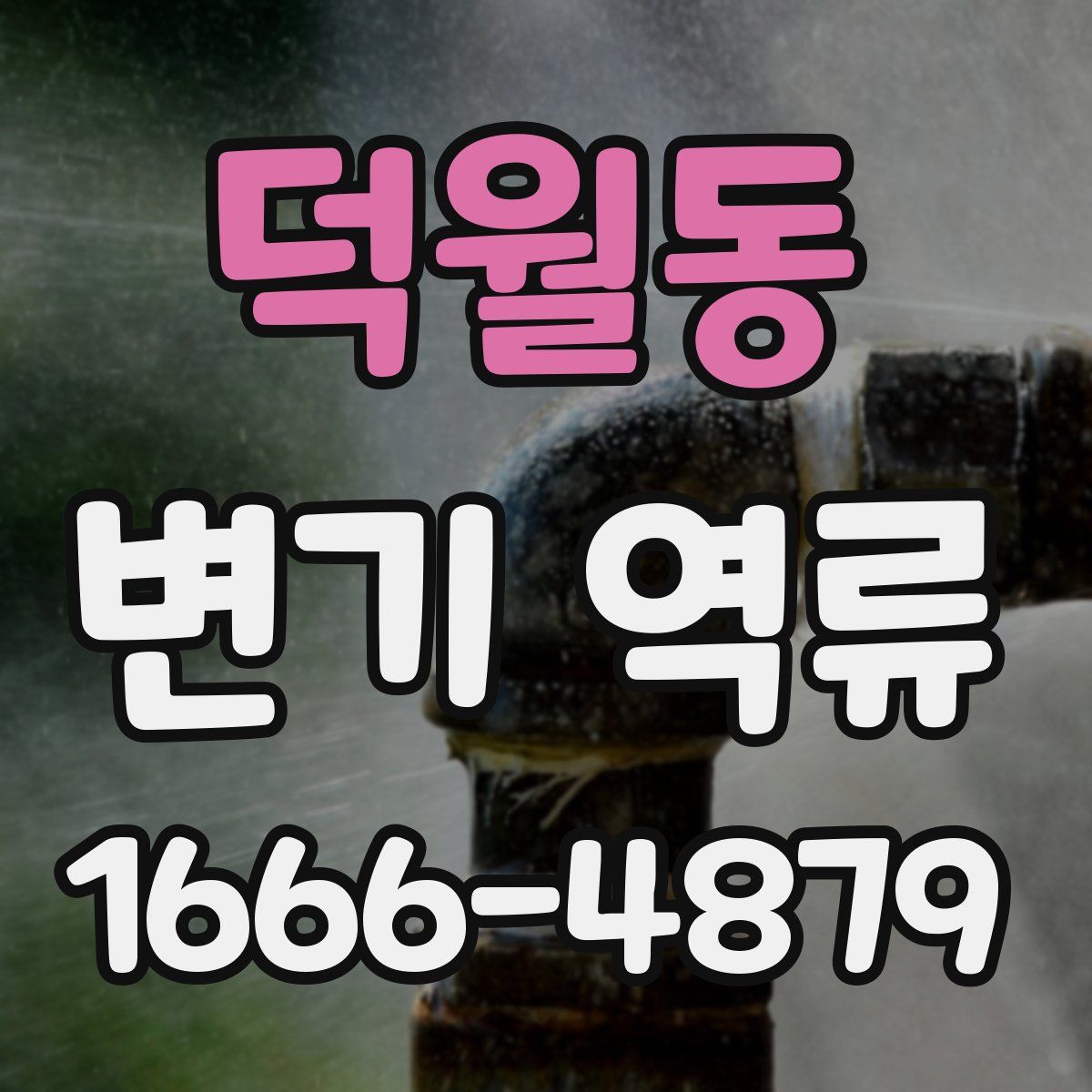 덕월동 변기 역류