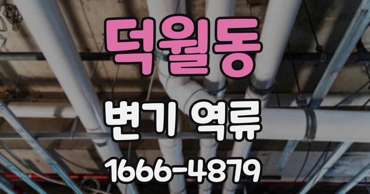 덕월동 변기 역류