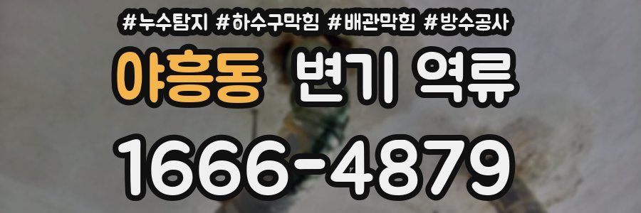 야흥동 변기 역류