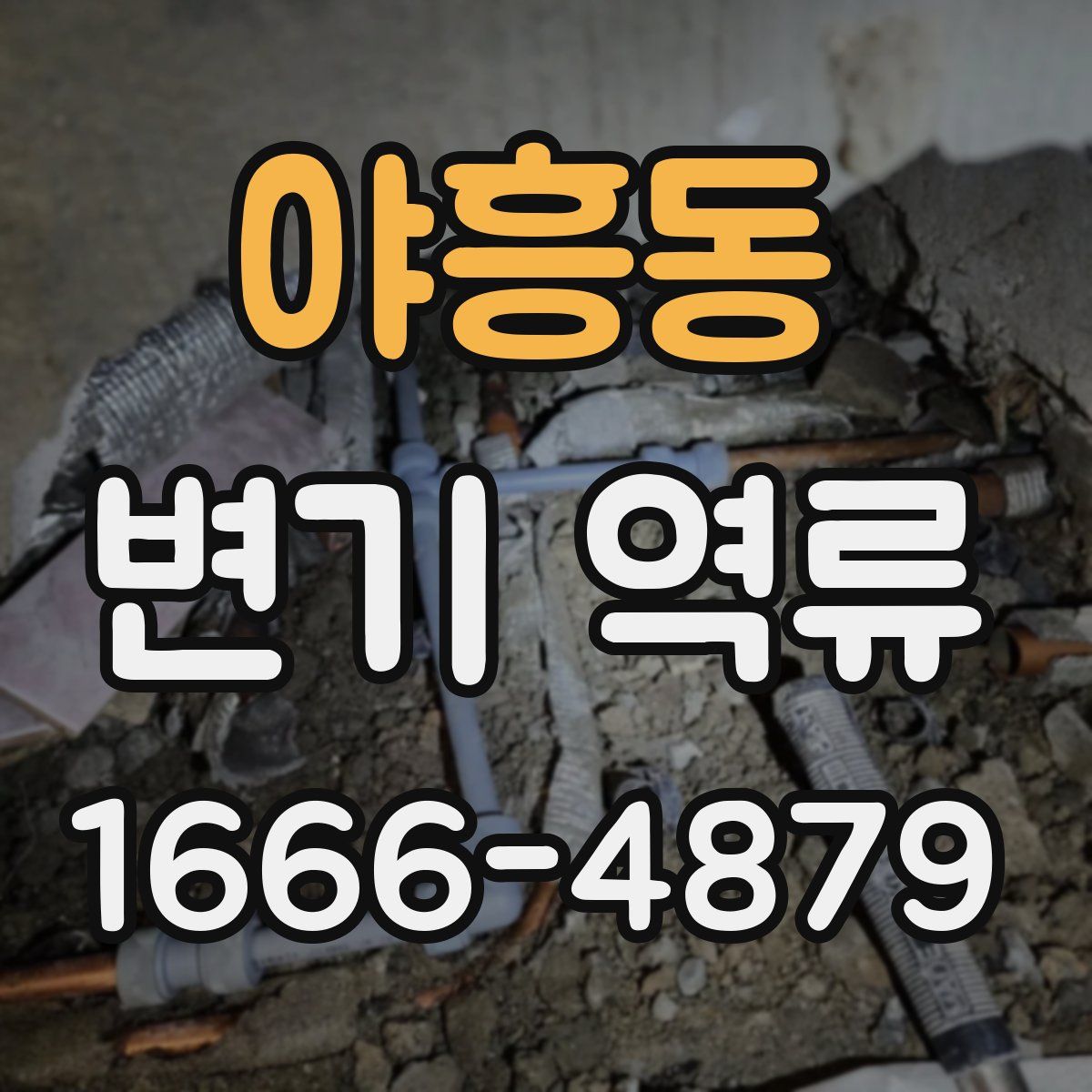 야흥동 변기 역류