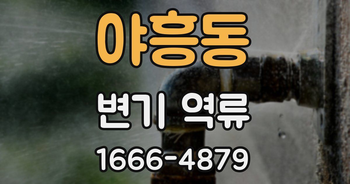 야흥동 변기 역류