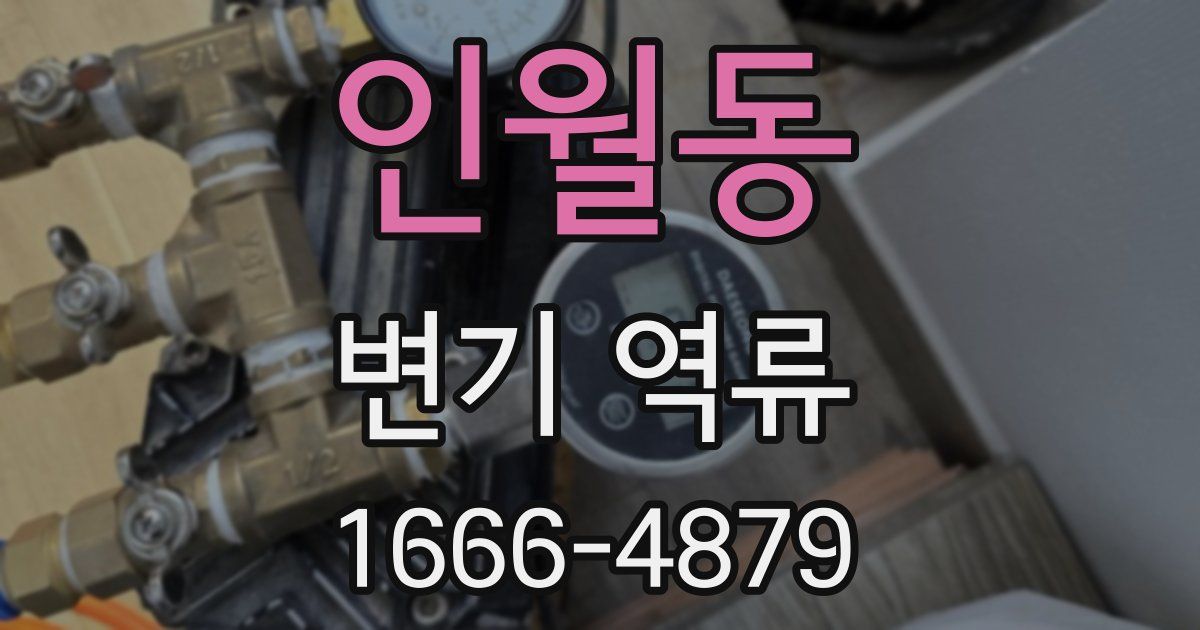 인월동 변기 역류