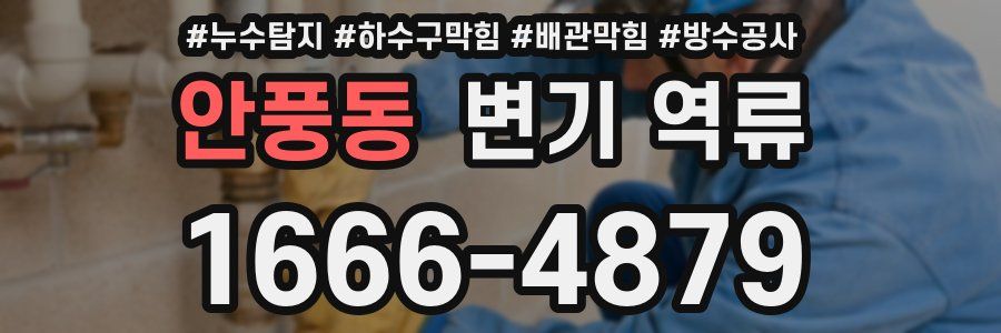 안풍동 변기 역류