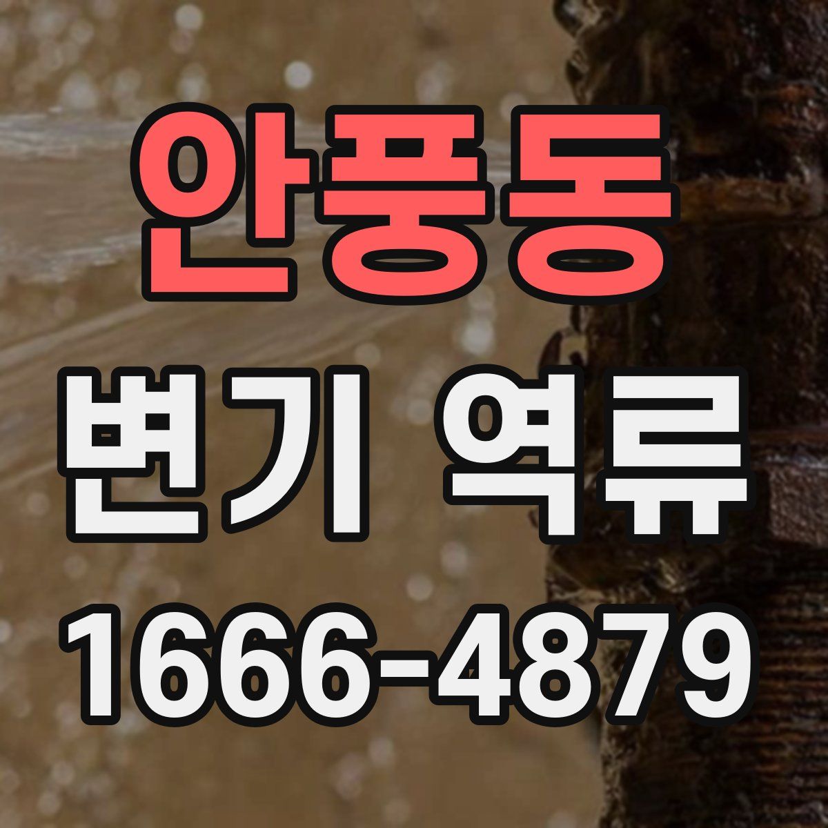 안풍동 변기 역류