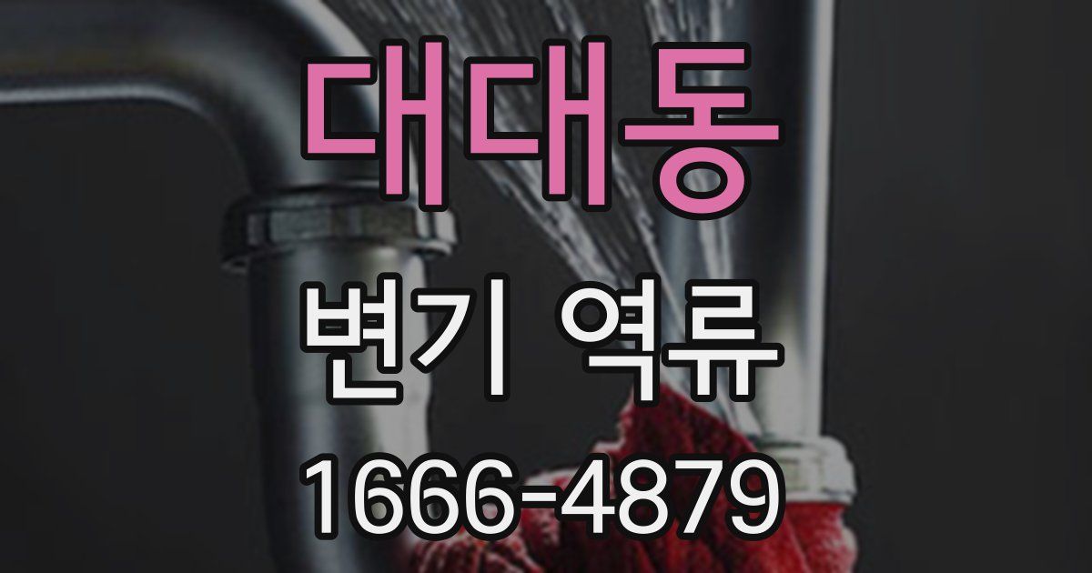 대대동 변기 역류