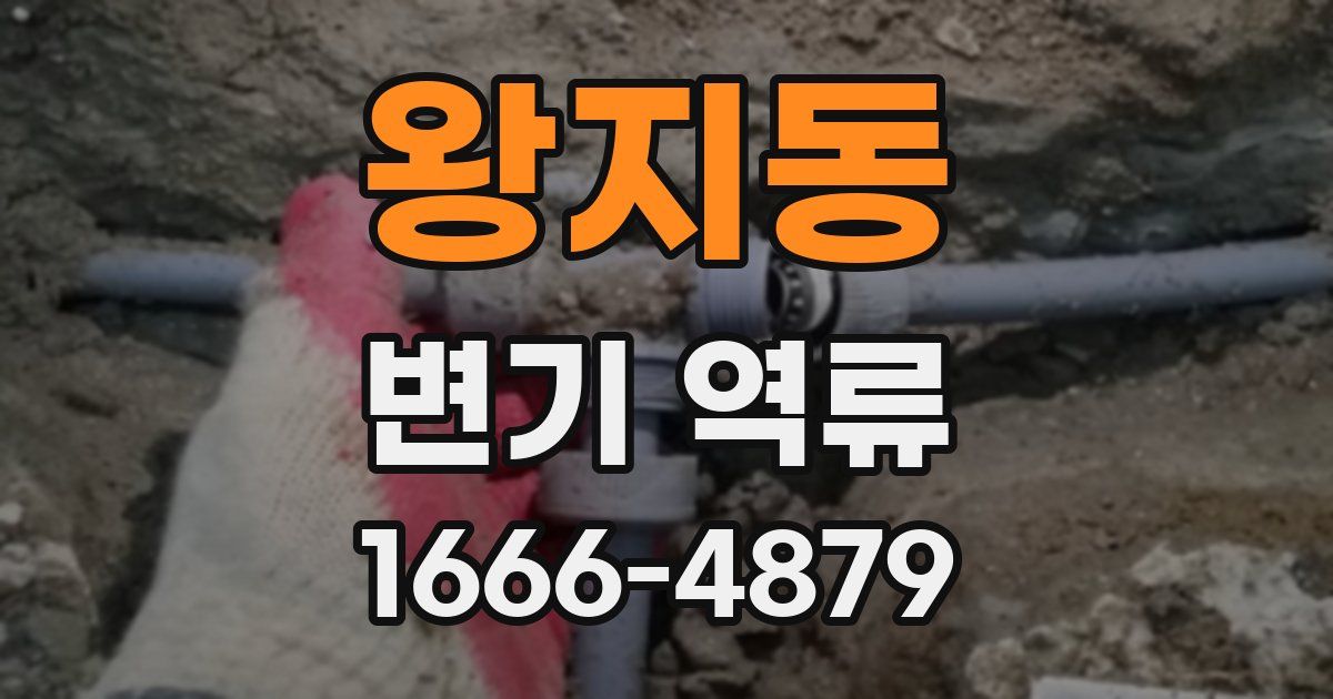 왕지동 변기 역류