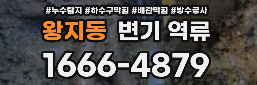왕지동 변기 역류