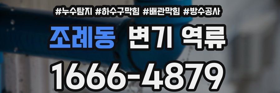 조례동 변기 역류