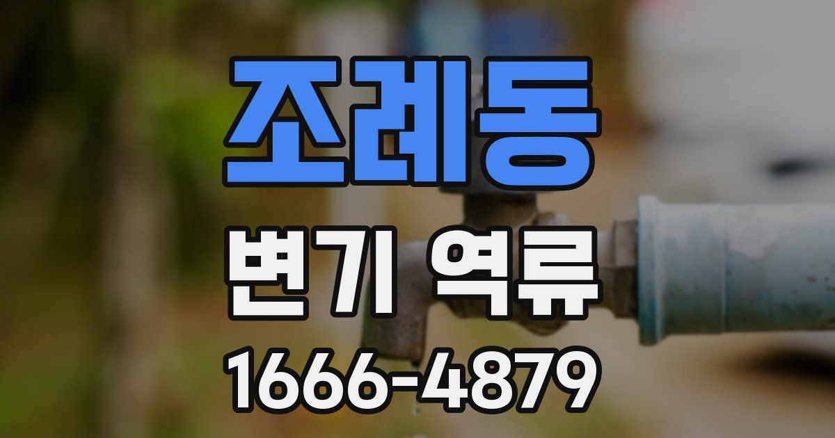 조례동 변기 역류
