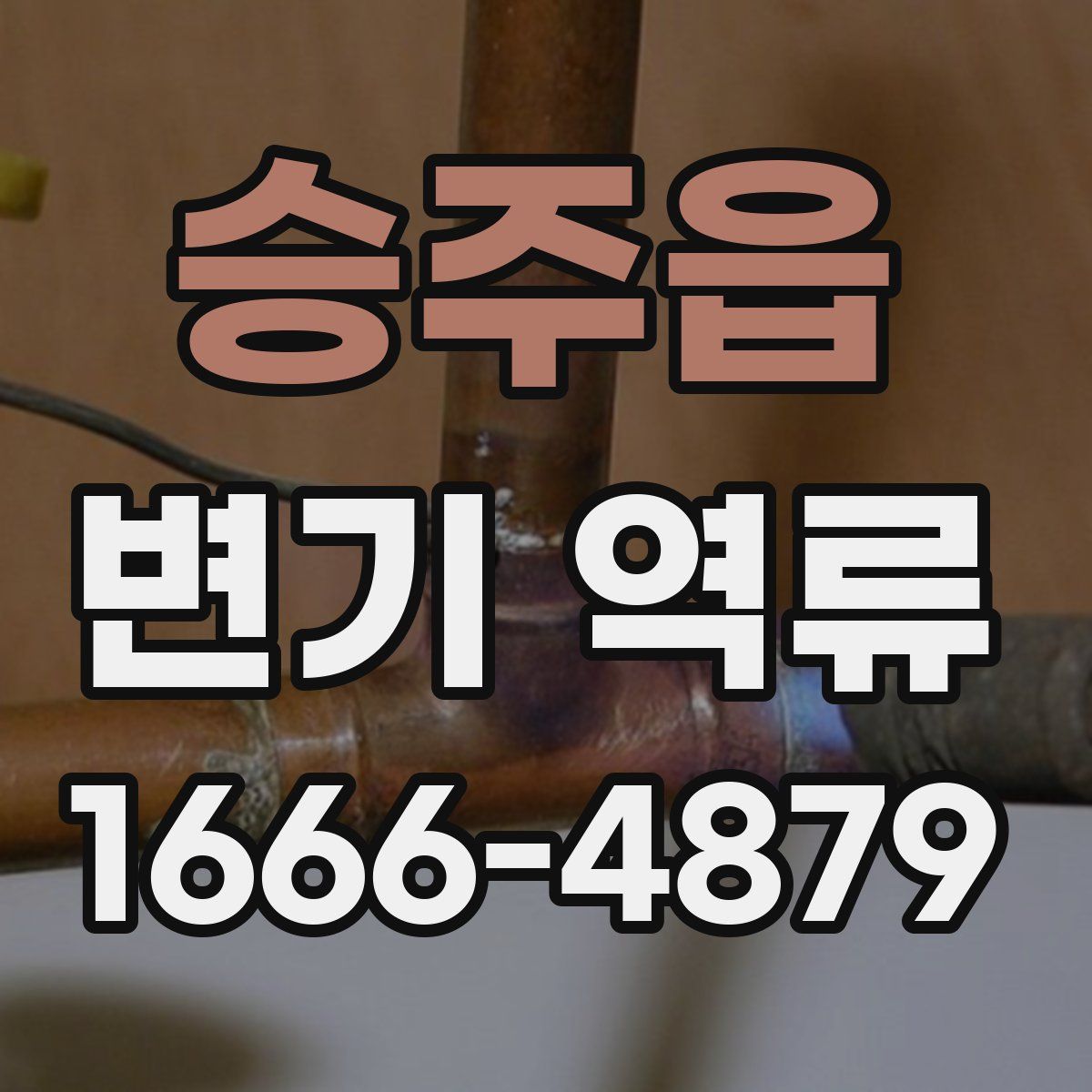 승주읍 변기 역류