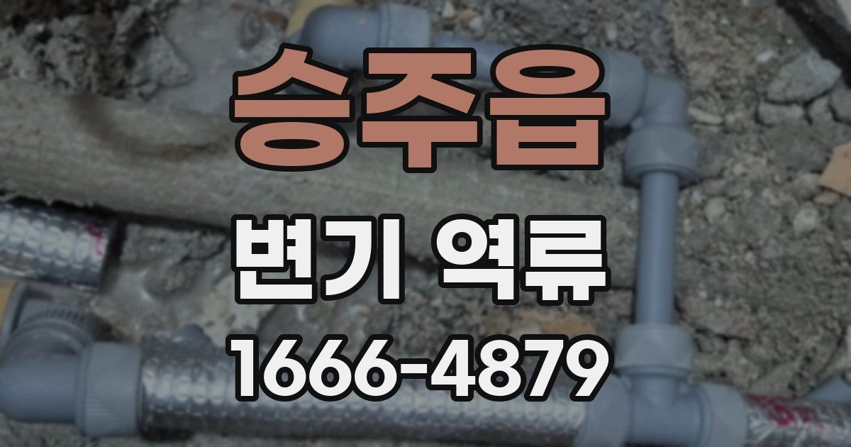 승주읍 변기 역류