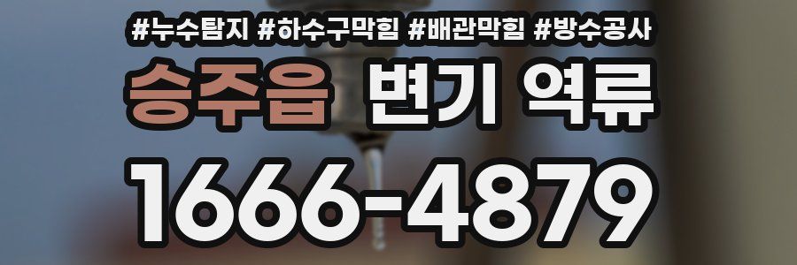 승주읍 변기 역류