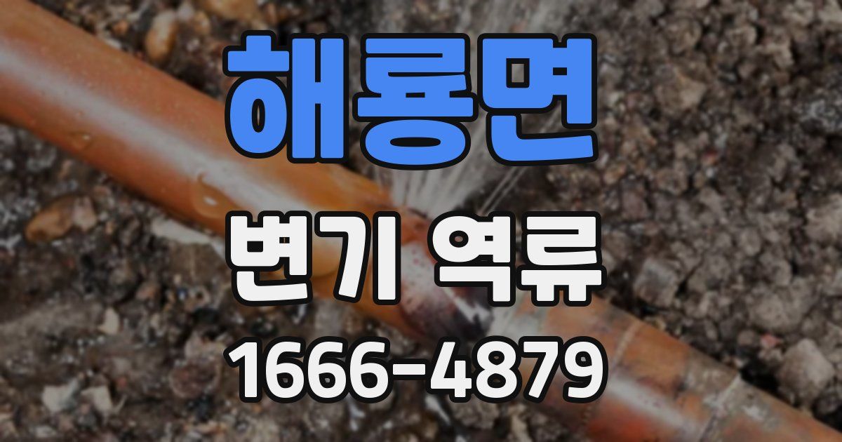 해룡면 변기 역류