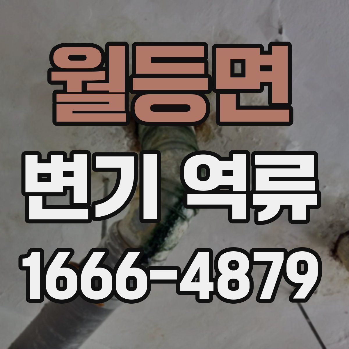 월등면 변기 역류 수압보다 배수 상태가 중요한 이유