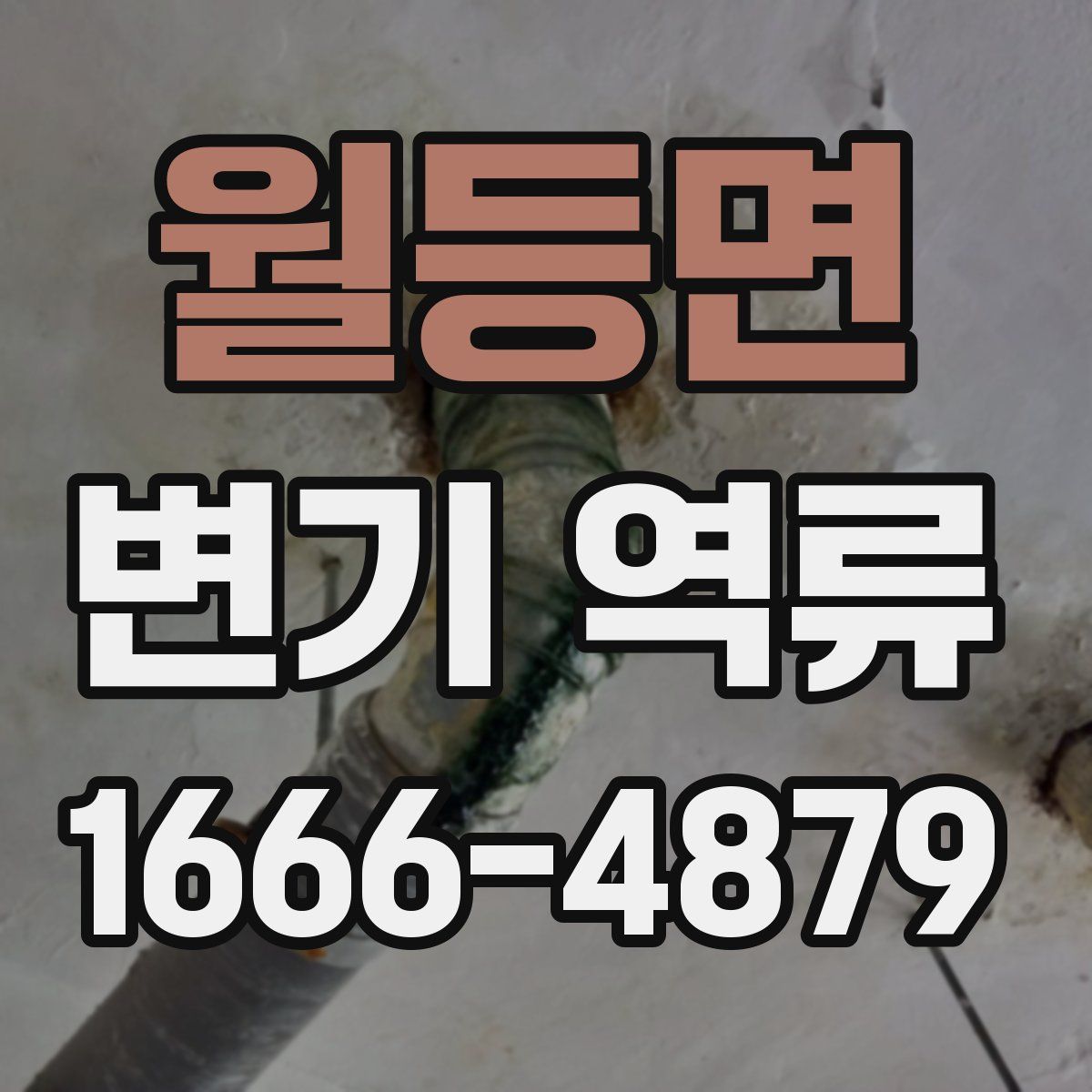 월등면 변기 역류