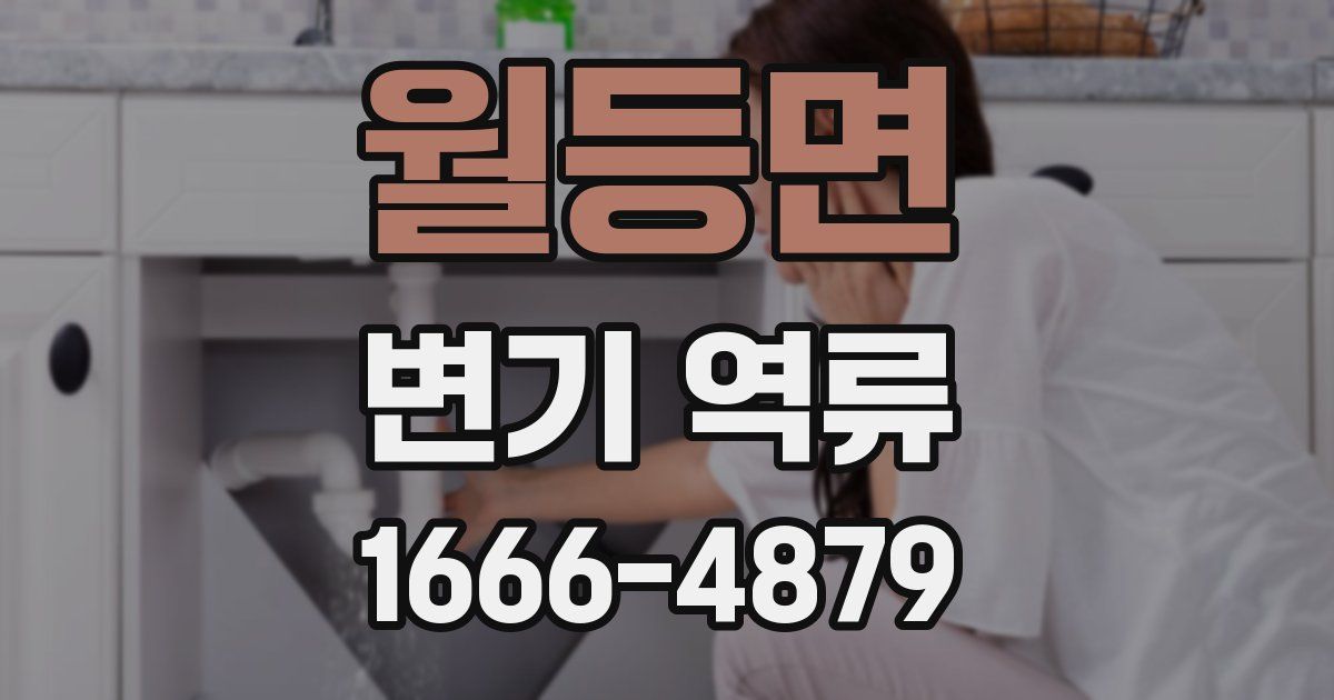 월등면 변기 역류