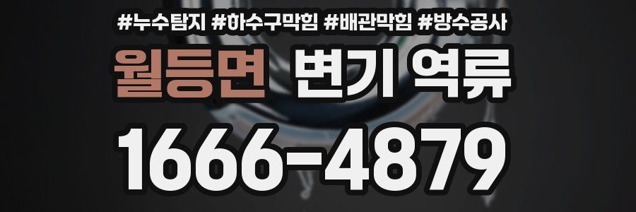 월등면 변기 역류