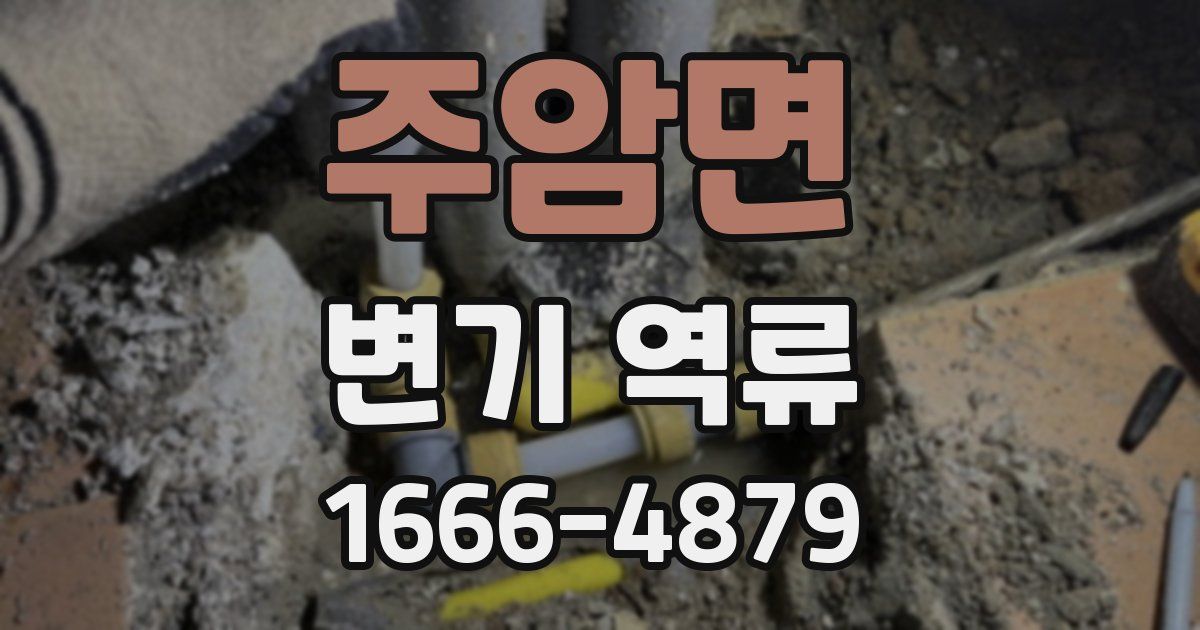 주암면 변기 역류