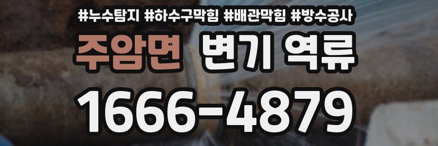 주암면 변기 역류