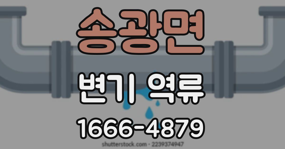 송광면 변기 역류