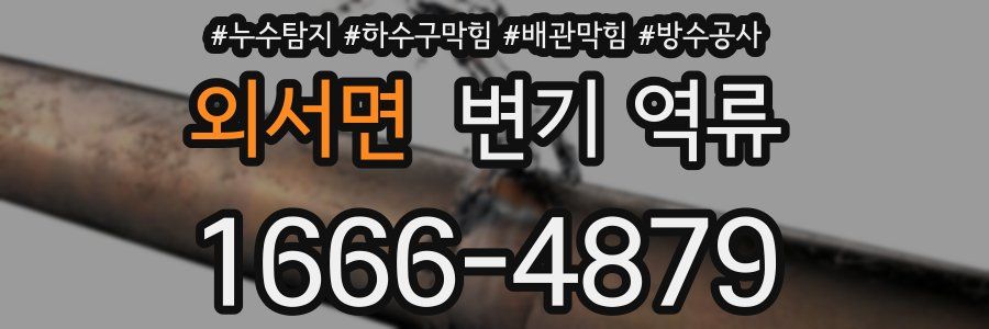 외서면 변기 역류