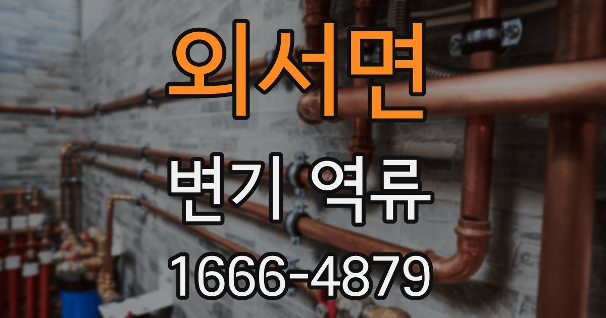 외서면 변기 역류