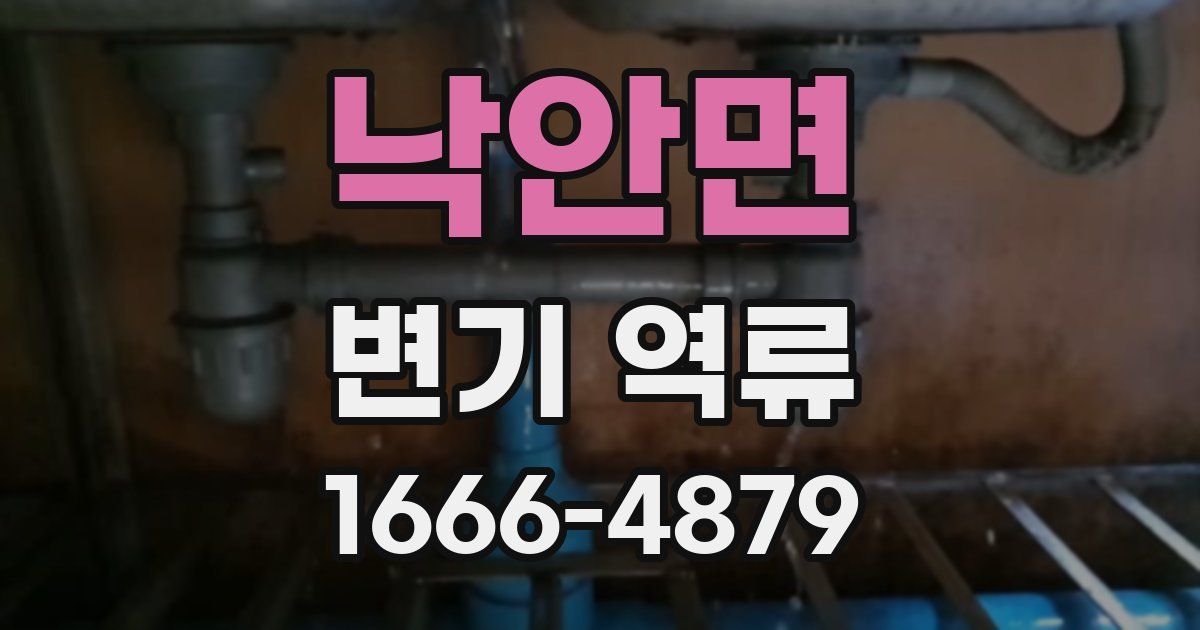 낙안면 변기 역류