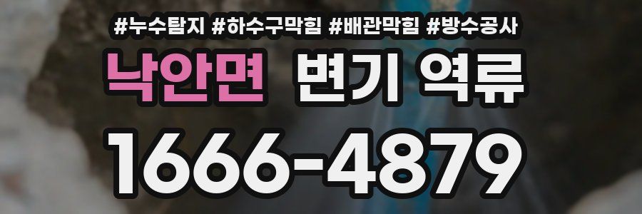 낙안면 변기 역류