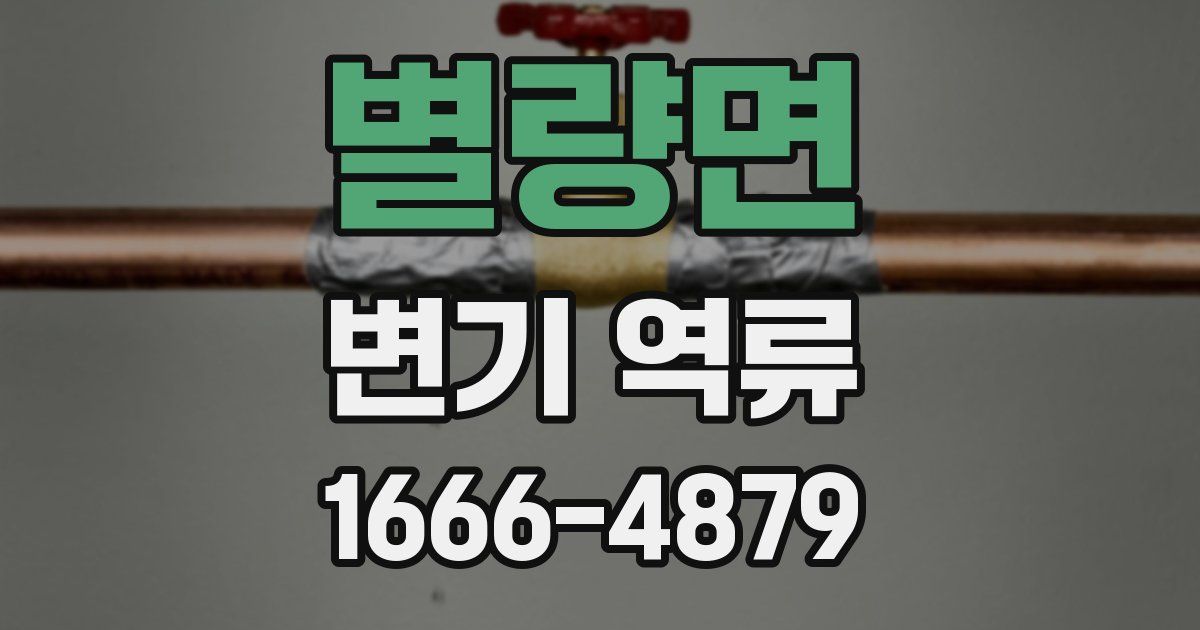 별량면 변기 역류