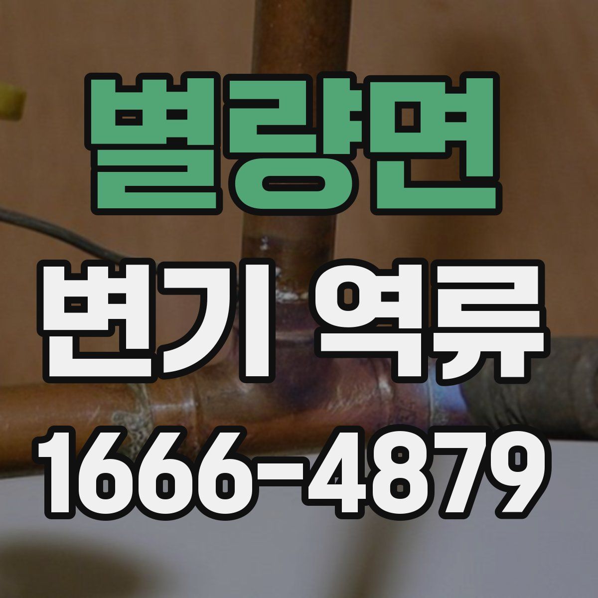 별량면 변기 역류