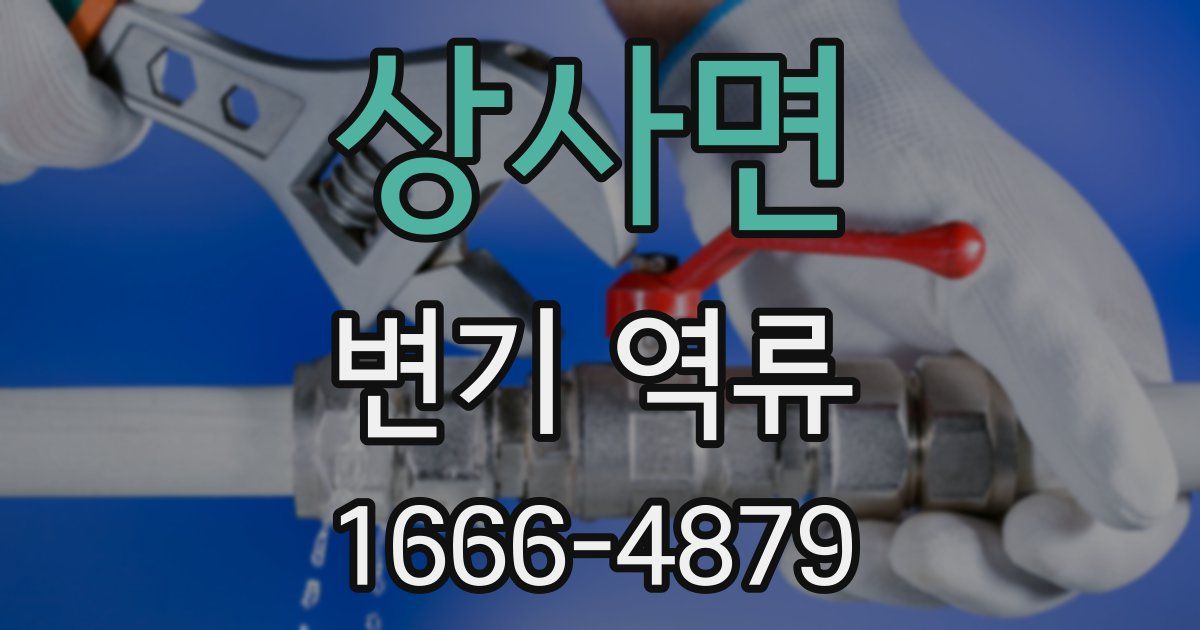 상사면 변기 역류