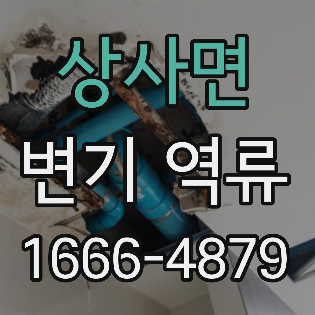 상사면 변기 역류
