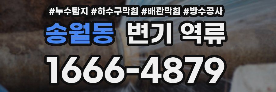 송월동 변기 역류