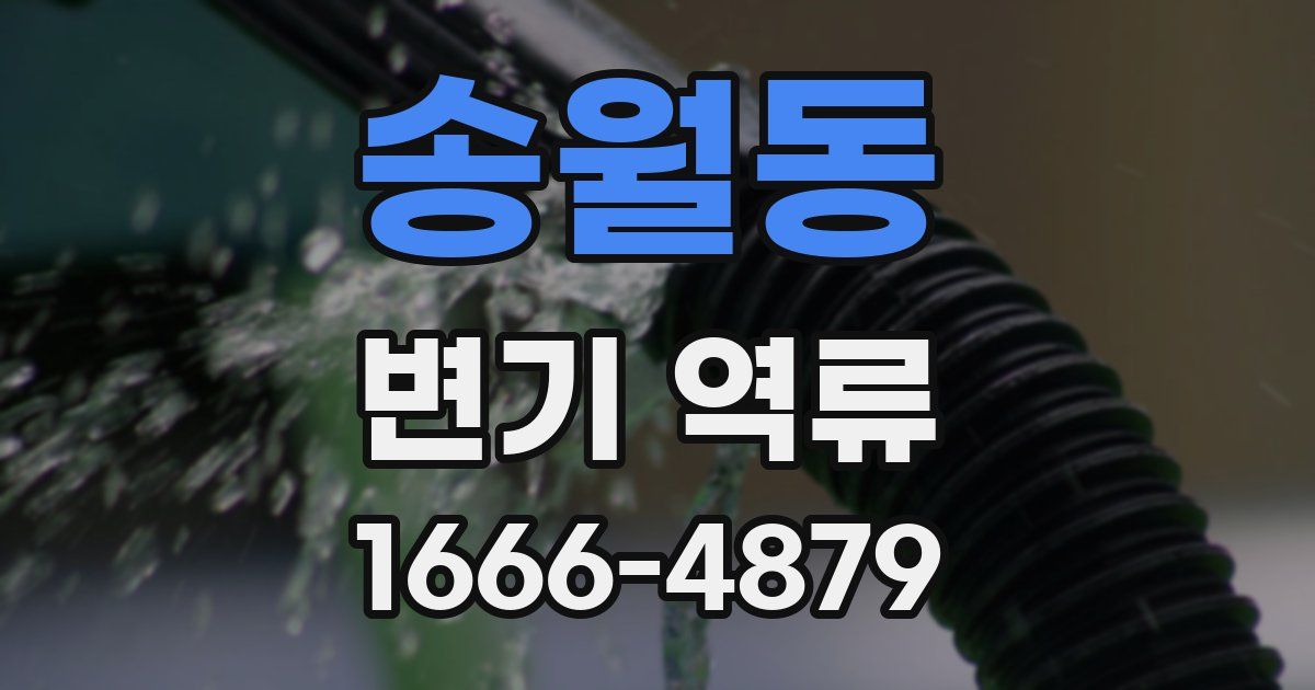 송월동 변기 역류