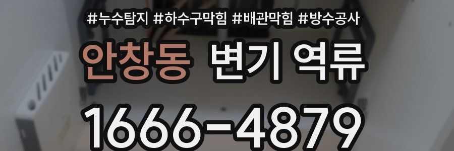 안창동 변기 역류