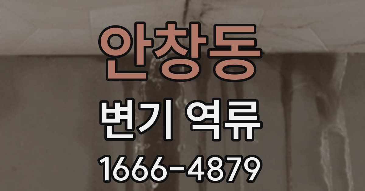 안창동 변기 역류
