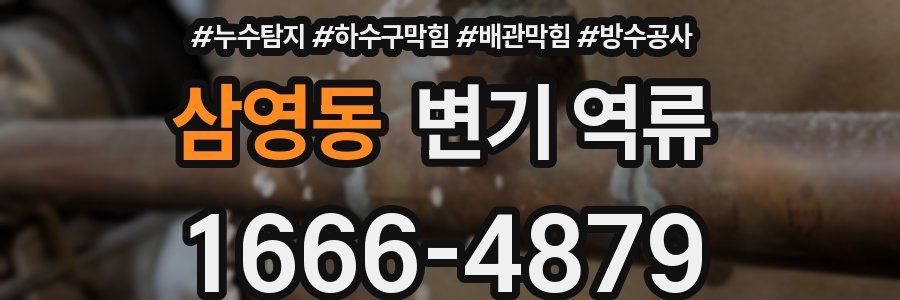 삼영동 변기 역류