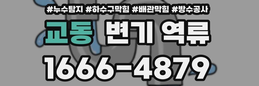 교동 변기 역류
