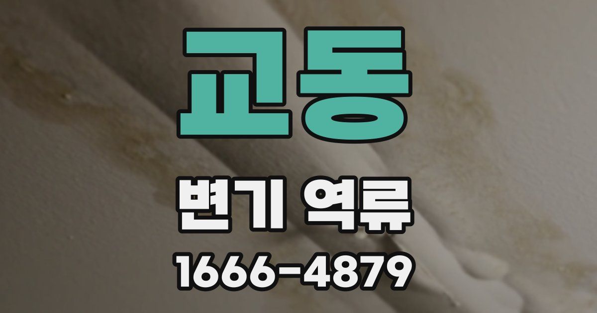 교동 변기 역류