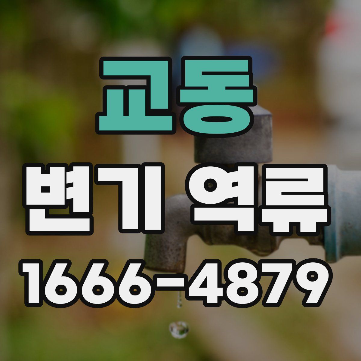 교동 변기 역류