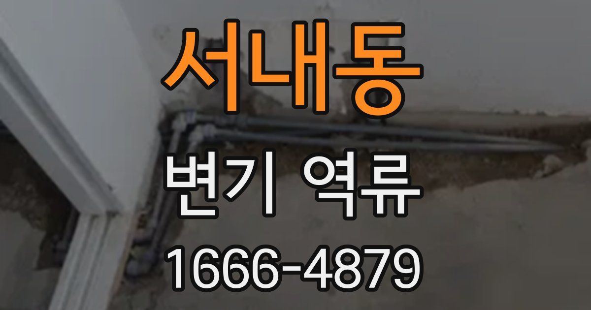 서내동 변기 역류