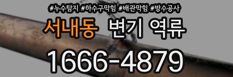 서내동 변기 역류