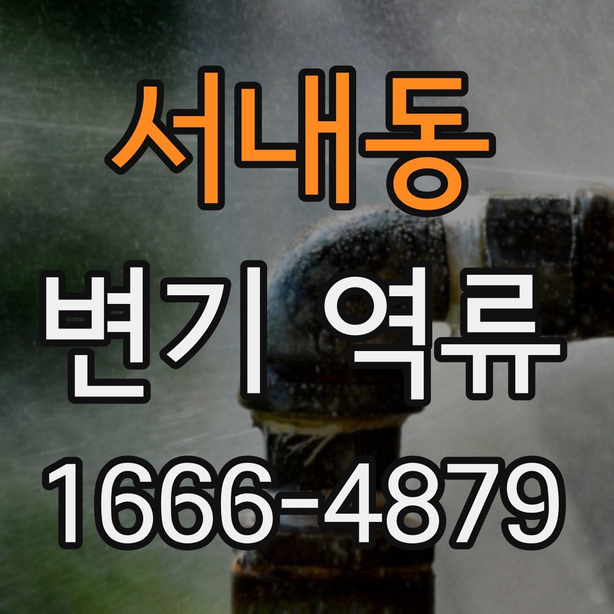 서내동 변기 역류