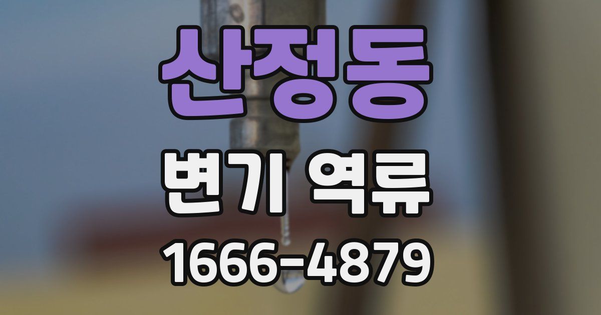 산정동 변기 역류
