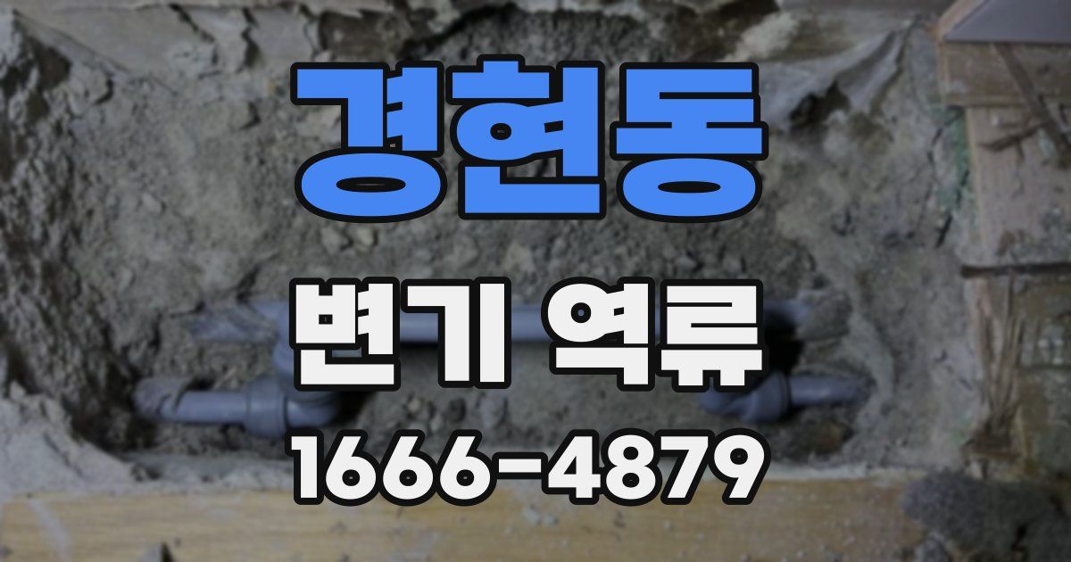 경현동 변기 역류