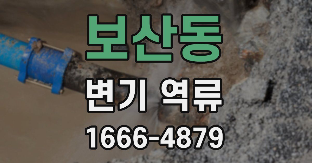보산동 변기 역류